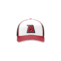 3709 R/P FLEX FIT CAP 172 ALEXANDER-ALL-STARS-ADDS