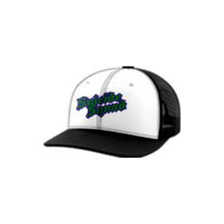1648 R_P TRUCKER CAP 112 SUICIDE-SQUAD-2023-1