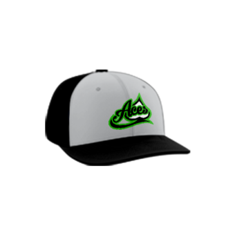 3721 R_P FLEX FIT CAP PTS30 ELKO-ACES-ADDONS