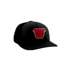 3464 R_P FLEX FIT CAP PTS30 RED-DOGS-2023-1