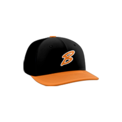 3732 R_P FLEX FIT CAP PTS30 BEVERLY-BANDITS-BLACK-HEX