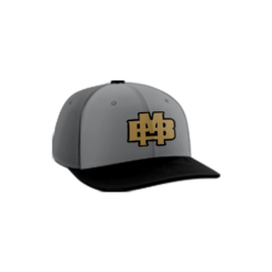 2828 R_P FLEX FIT CAP PTS30 BEER-MONEY-SAINTS