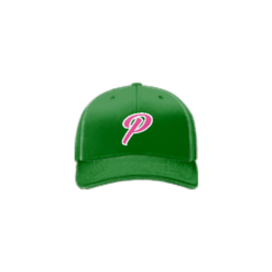 2847 R_P FLEX FIT CAP 172 PINKALICIOUS-GREEN-1