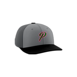 2847 R_P FLEX FIT CAP PTS30 PINKALICIOUS-GREEN-1