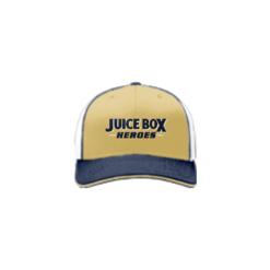 2232 R_P FLEX FIT CAP 172 JUICE-BOX-HEROES-1