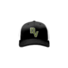 3733 R_P FLEX FIT CAP 172 DYSFUNCTIONAL-VETERANS-1