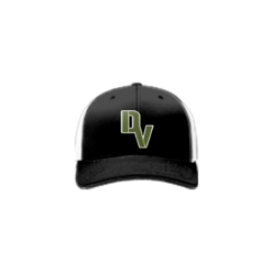 3733 R_P FLEX FIT CAP 172 DYSFUNCTIONAL-VETERANS-1