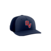 3733 R_P FLEX FIT CAP PTS30 DYSFUNCTIONAL-VETERANS-1