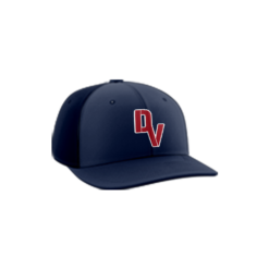 3733 R_P FLEX FIT CAP PTS30 DYSFUNCTIONAL-VETERANS-1