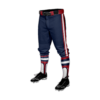 3733 MENS BASEBALL KNICKER PANT DYSFUNCTIONAL-VETERANS-2