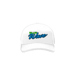 3730 R_P FLEX FIT CAP 172 BLUE-WAVE-1