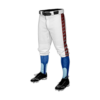2898 MENS BASEBALL KNICKER PANT SPIDER-DRAFT-DARK-RED-1