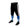 2898 MENS BASEBALL KNICKER PANT SPIDER-DRAFT-DARK-RED-2