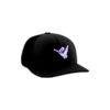 3736 R_P FLEX FIT CAP PTS30 YGIG-2023-1