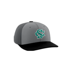 3605 R_P FLEX FIT CAP PTS30 COL-SHARKS-2023-1