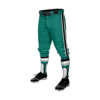 3605 MENS BASEBALL KNICKER PANT COL-SHARKS-2023-1