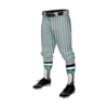 3605 MENS BASEBALL KNICKER PANT COL-SHARKS-2023-4