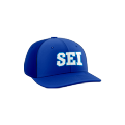 3746 R_P FLEX FIT CAP PTS30 SEI-WOLFPACK-2