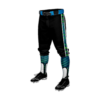 3685 MENS BASEBALL KNICKER PANT S2-2023-1