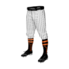 3722 MENS BASEBALL KNICKER PANT PROSPECTS-ALT-ADD