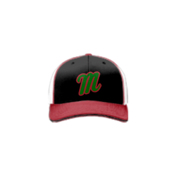 1256 R_P FLEX FIT CAP 172 MERO-MERO-1