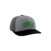 3745 R_P FLEX FIT CAP PTS30 VIPERS-1