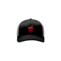 2695 R_P FLEX FIT CAP 172 BAD-APPLES-1