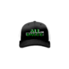 3747 R_P FLEX FIT CAP 172 ALL-THE-SMOKE-1