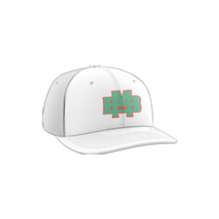 1592 R_P FLEX FIT CAP PTS30 BEER-MONEY-HATS