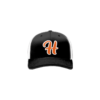907 R_P FLEX FIT CAP 172 HANGLOWS-1
