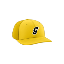 2286 R_P FLEX FIT CAP PTS30 GENERALS-2024-1