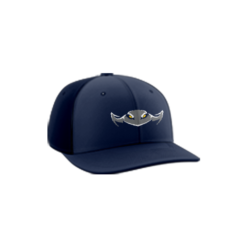 3553 R_P FLEX FIT CAP PTS30 WV-STINGRAYS-1