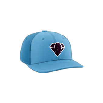 3769 R_P FLEX FIT CAP PTS30 OHIO-DIAMONDS-1