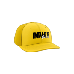 3757 R_P FLEX FIT CAP PTS30 IMPACT-GOLD-1