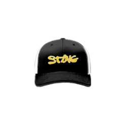 3329 R_P FLEX FIT CAP 172 WV-STING-2