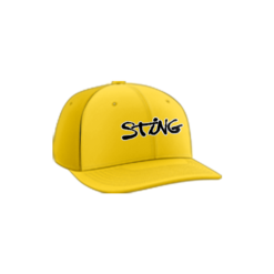 3329 R_P FLEX FIT CAP PTS30 WV-STING-2