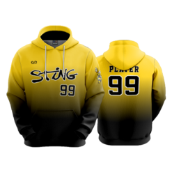 3329 UNISEX FLEECE HOODY WV-STING-2
