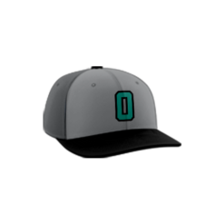3763 R_P FLEX FIT CAP PTS30 OUTCAST-1