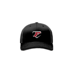 3770 R_P FLEX FIT CAP 172 CAP-CITY-FORCE-1