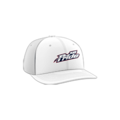 3766 R_P FLEX FIT CAP PTS30 MOV-PRIDE-1