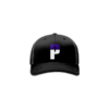 2703 R_P FLEX FIT CAP 172 PERNICIOUS-1