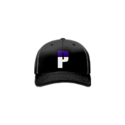 2703 R_P FLEX FIT CAP 172 PERNICIOUS-1