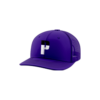 2703 R_P TRUCKER CAP 112 PERNICIOUS-1
