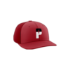 2703 R_P FLEX FIT CAP PTS30 PERNICIOUS-1