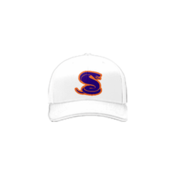 2703 R_P FLEX FIT CAP 172 S-1
