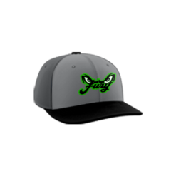 3754 R_P FLEX FIT CAP PTS30 FURY-1