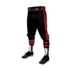 3765 MENS BASEBALL KNICKER PANT PLUMBERS-AND-PIPEFITTERS-354-1