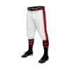 3765 MENS BASEBALL KNICKER PANT PLUMBERS-AND-PIPEFITTERS-354-2