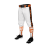2217 MENS BASEBALL KNICKER PANT TIGERS-2