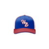 3764 R_P FLEX FIT CAP 172 HAS-BEENS-2